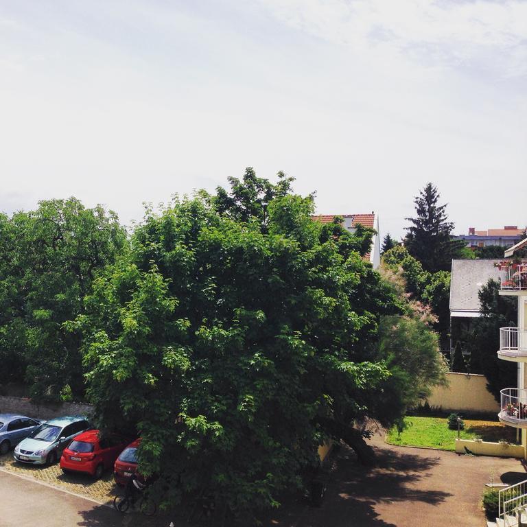 Tuenderpart Apartment Эгер Номер фото